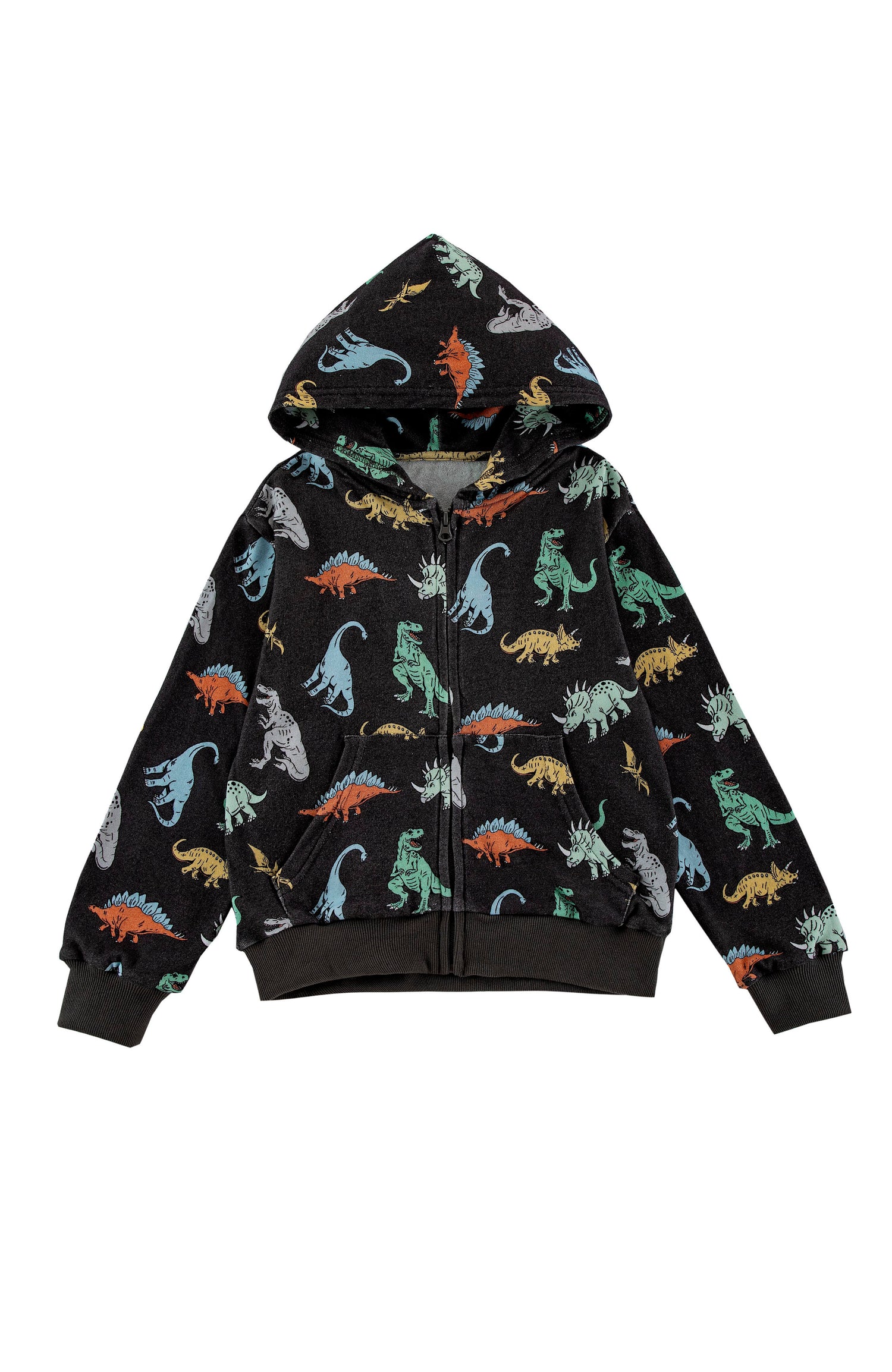 Soft Fleece Zip Up Hoodie, Dinosaur Dudes