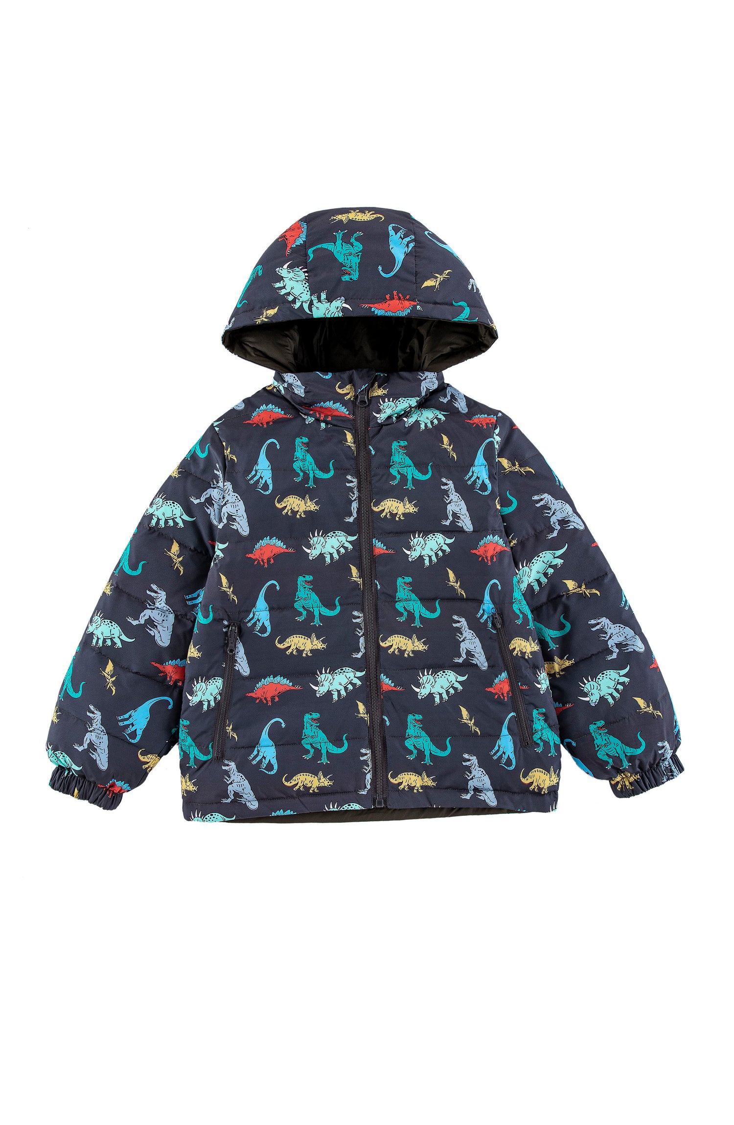 Blake Hooded Reversible Lightweight Down Puffer Jacket, Dinosaur Dudes